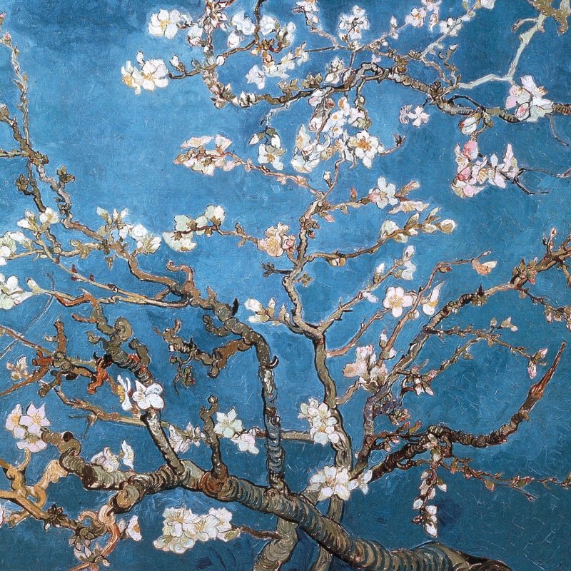10 Top Van Gogh Almond Blossoms Wallpaper FULL HD 1920×1080 For PC Background 2023 free download download wallpapers download 2560x1600 blossoms vincent van gogh 2 800x800