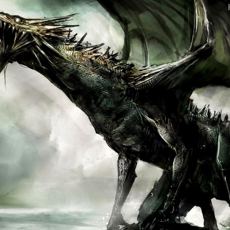 10 Latest Hd Dragon Wallpapers 1080P FULL HD 1080p For PC Desktop 2024 free download dragon hd wallpapers wallpaper cave 800x800