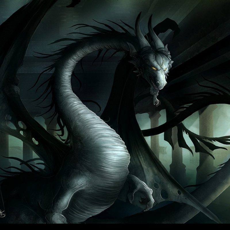 10 New Black Dragon Wallpaper Desktop FULL HD 1920×1080 For PC Background 2024 free download dragon with yellow eyes wallpaper from dragons wallpapers 800x800