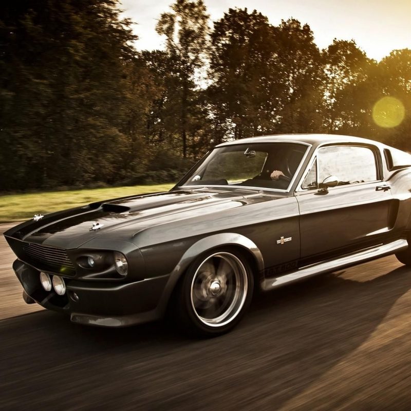 10 Most Popular Pics Of Eleanor Mustang FULL HD 1080p For PC Background 2023 free download eleanor mustang wallpapers wallpaper cave beautiful wallpapers 800x800