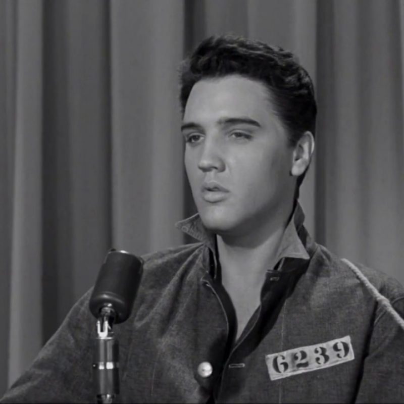 10 New Free Elvis Presley Photos FULL HD 1080p For PC Desktop 2022 free download elvis presley i want to be free youtube 800x800