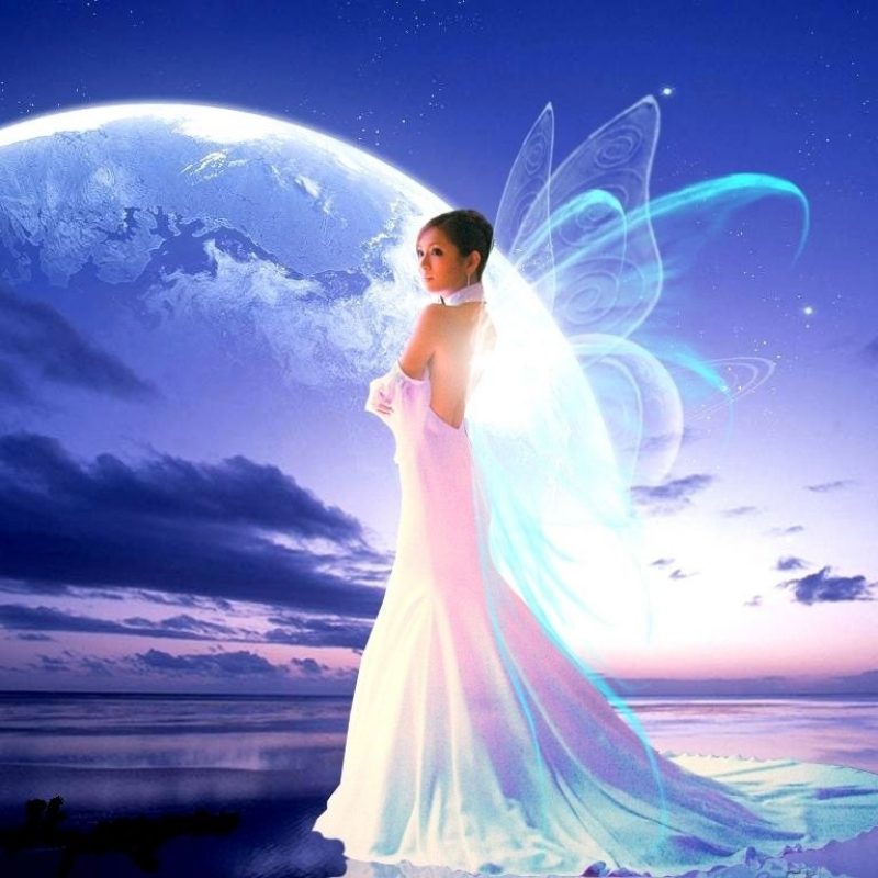 10 Best Most Beautiful Fairy Pictures FULL HD 1080p For PC Background 2024 free download fairy lady king duvet beautiful fairies fairy and fairy wallpaper 800x800