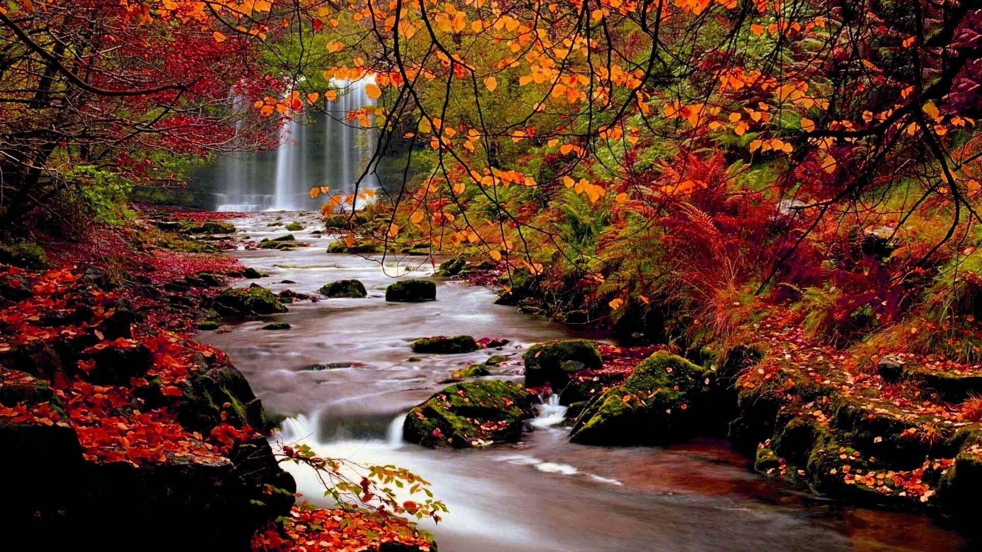 10 Latest Computer Wallpaper Nature Fall FULL HD 1920×1080 For PC Background