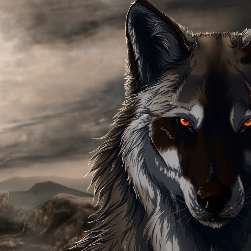 10 Latest Fantasy Wolf Wallpaper Hd FULL HD 1920×1080 For PC Desktop 2022 free download fantasy wolf wallpapers and background images stmed 800x800