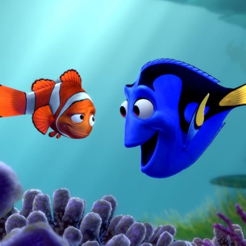 10 New Finding Nemo Hd Wallpaper FULL HD 1920×1080 For PC Background 2022 free download finding nemo disney cartoon hd wallpaper image for sony xperia z2 800x800
