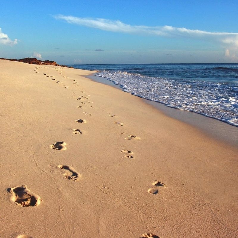 10 New Footprints In The Sand Background FULL HD 1080p For PC Desktop 2023 free download foot talk footprints in the sand 800x800