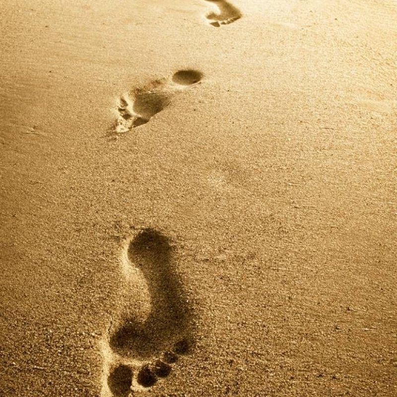 10 New Images Of Footprints In The Sand FULL HD 1920×1080 For PC Desktop 2023 free download footprints footprints beach and summer 800x800