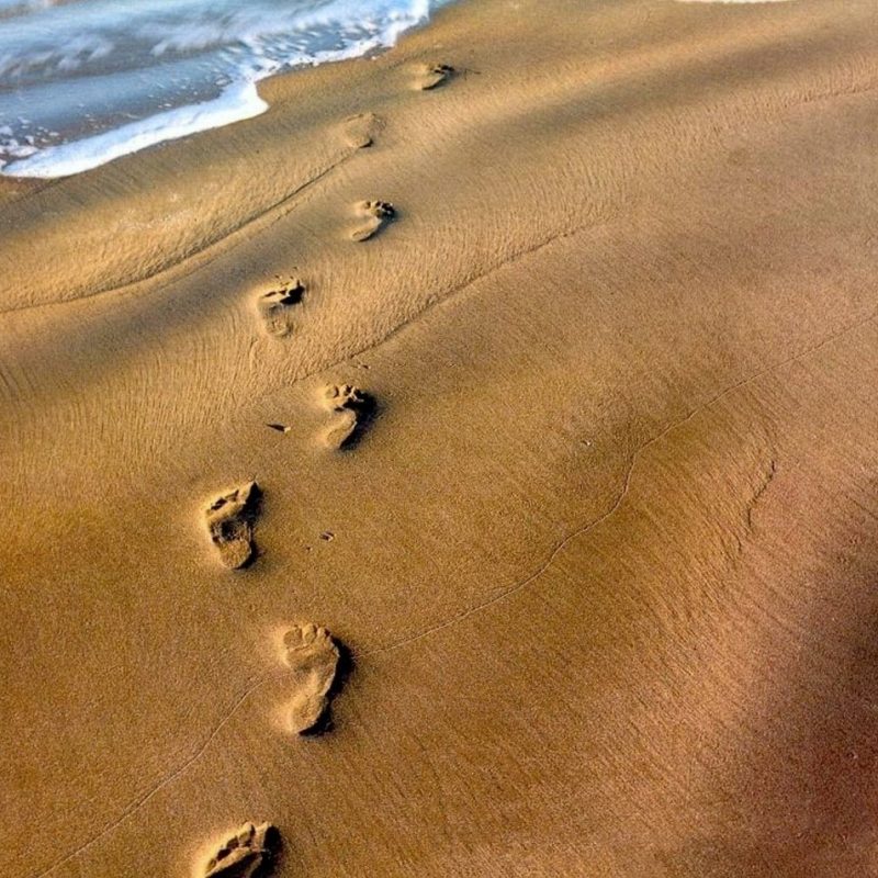 10 New Images Of Footprints In The Sand FULL HD 1920×1080 For PC Desktop 2022 free download footprints in the sand 1080p hd performedstephen meara blount 1 800x800