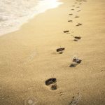 footprints in the sand at sunset stock photo, picture and royalty