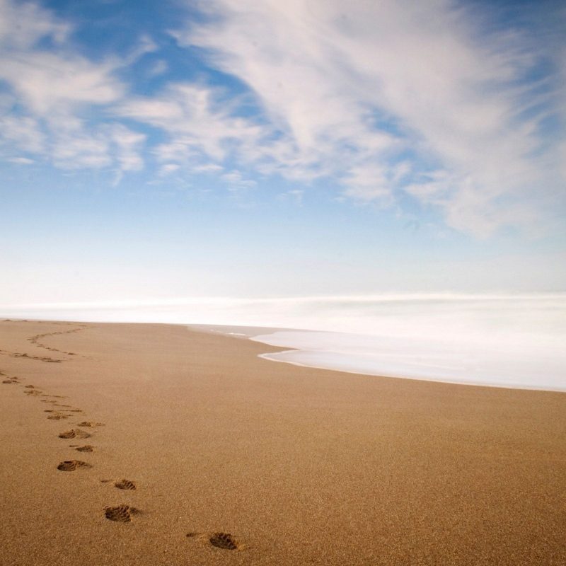 10 New Images Of Footprints In The Sand FULL HD 1920×1080 For PC Desktop 2022 free download footprints in the sand poem wondrlust 800x800