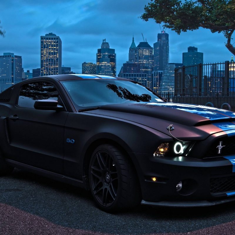 10 New Ford Mustang Hd Wallpapers 1080P FULL HD 1080p For PC Desktop 2022 free download ford mustang wallpapers wallpaper cave 800x800