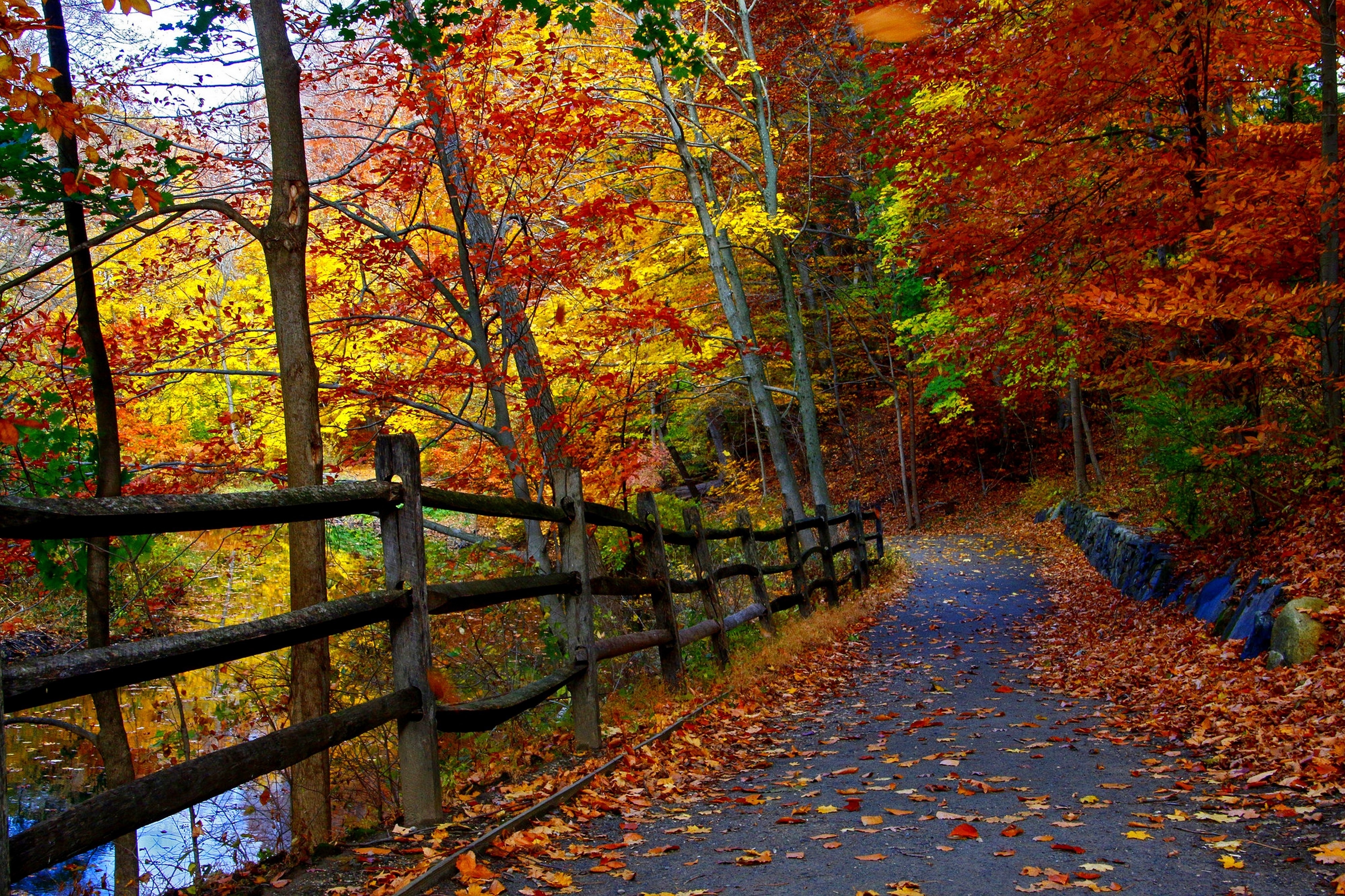 Осенью очень красиво. Красивая осень. Осенняя природа. Осенний пейзаж. Природа осень.