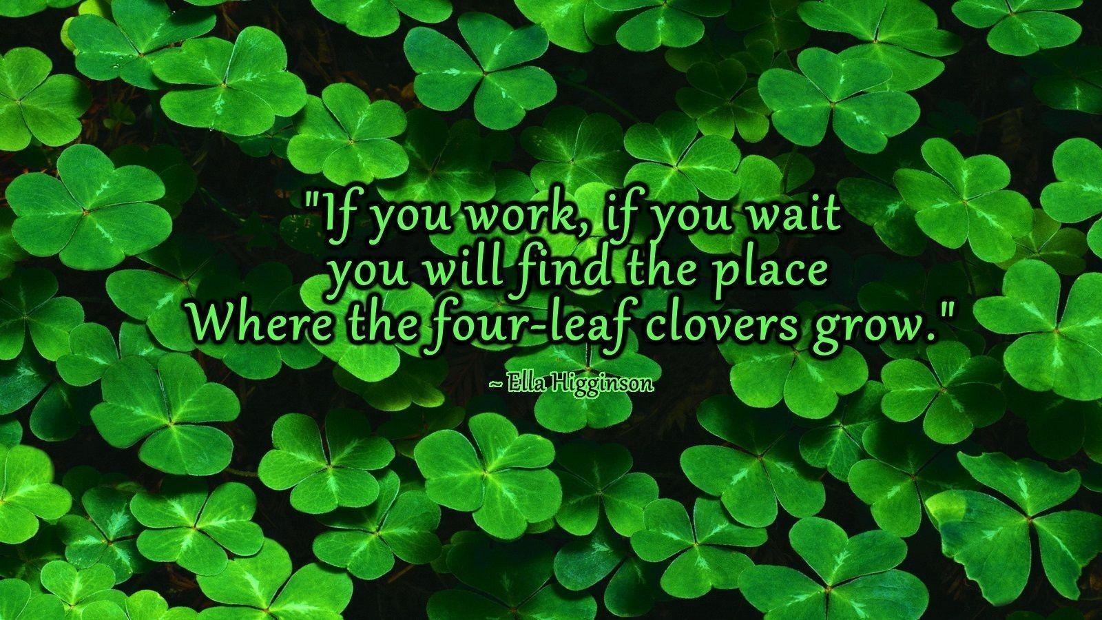 four leaf clover wallpapers - wallpaper cave