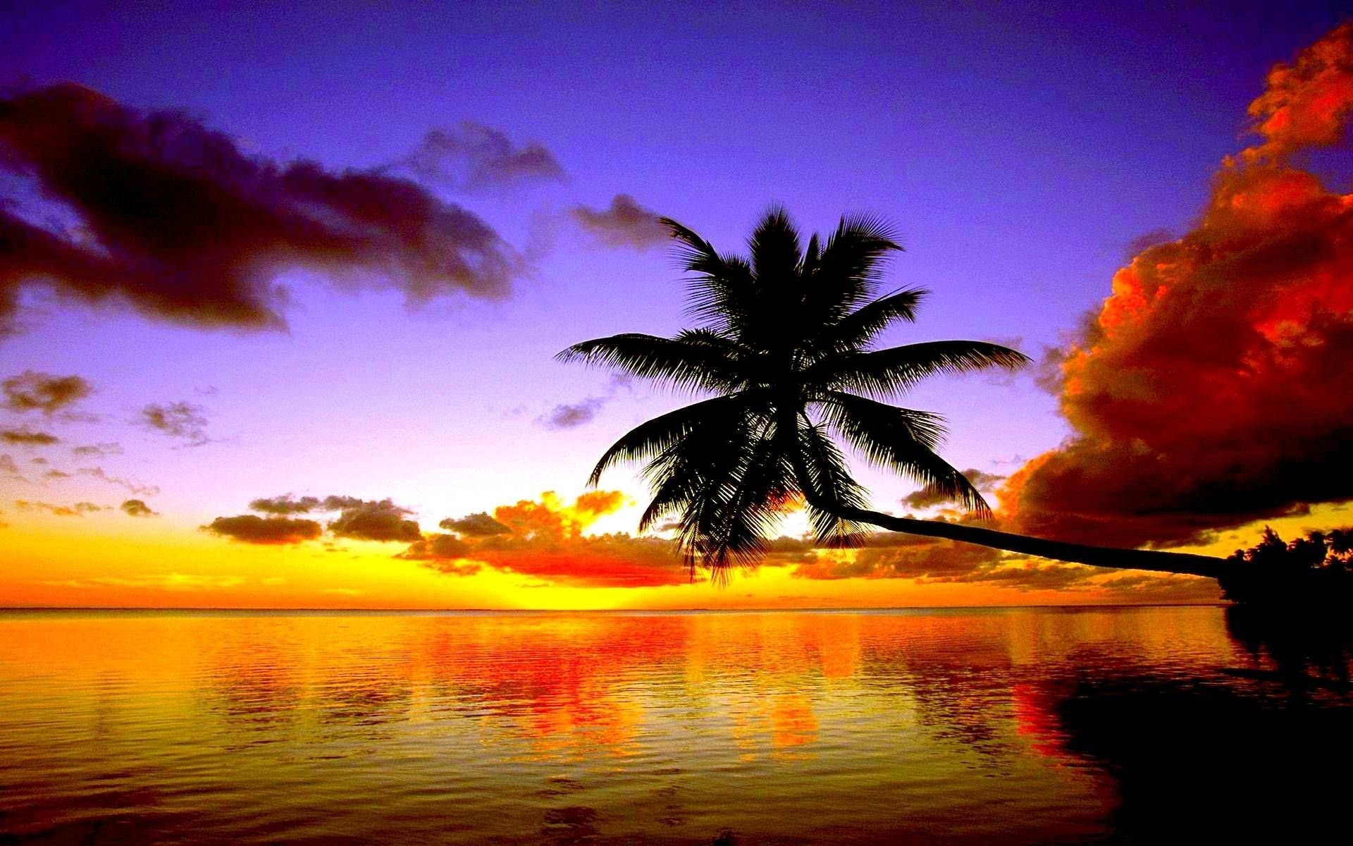 10 Most Popular Free Beach Sunset Wallpaper FULL HD 1080p For PC Desktop