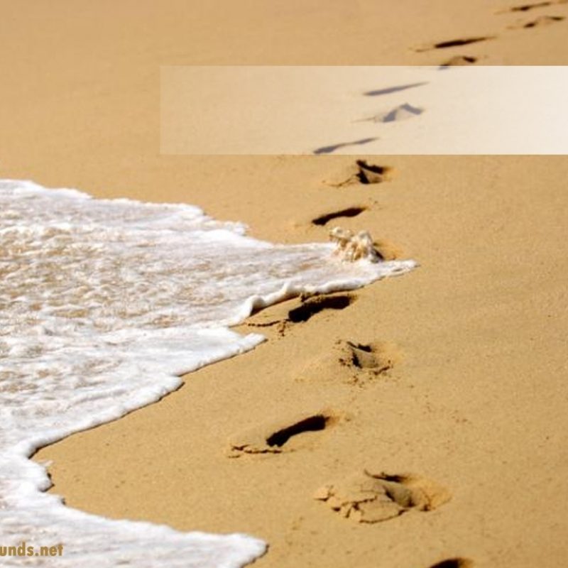 10 Best Footprints In The Sand Images Free FULL HD 1080p For PC Background 2024 free download free footprints in the sand backgrounds for powerpoint holiday ppt 1 800x800