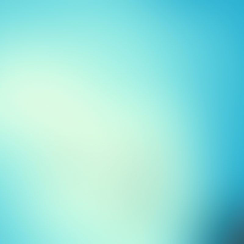 10 Top Plain Light Blue Wallpaper FULL HD 1080p For PC Background 2023 free download free light blue wallpapers hd resolution long wallpapers 800x800