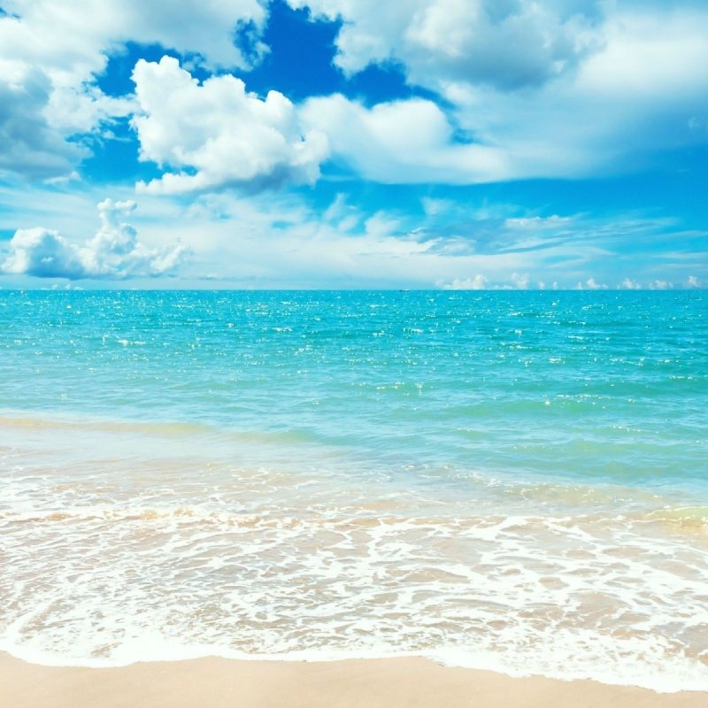 10 Best Ocean Backgrounds For Desktop FULL HD 1920×1080 For PC Background 2024 free download free ocean wallpaper phone long wallpapers 3 800x800