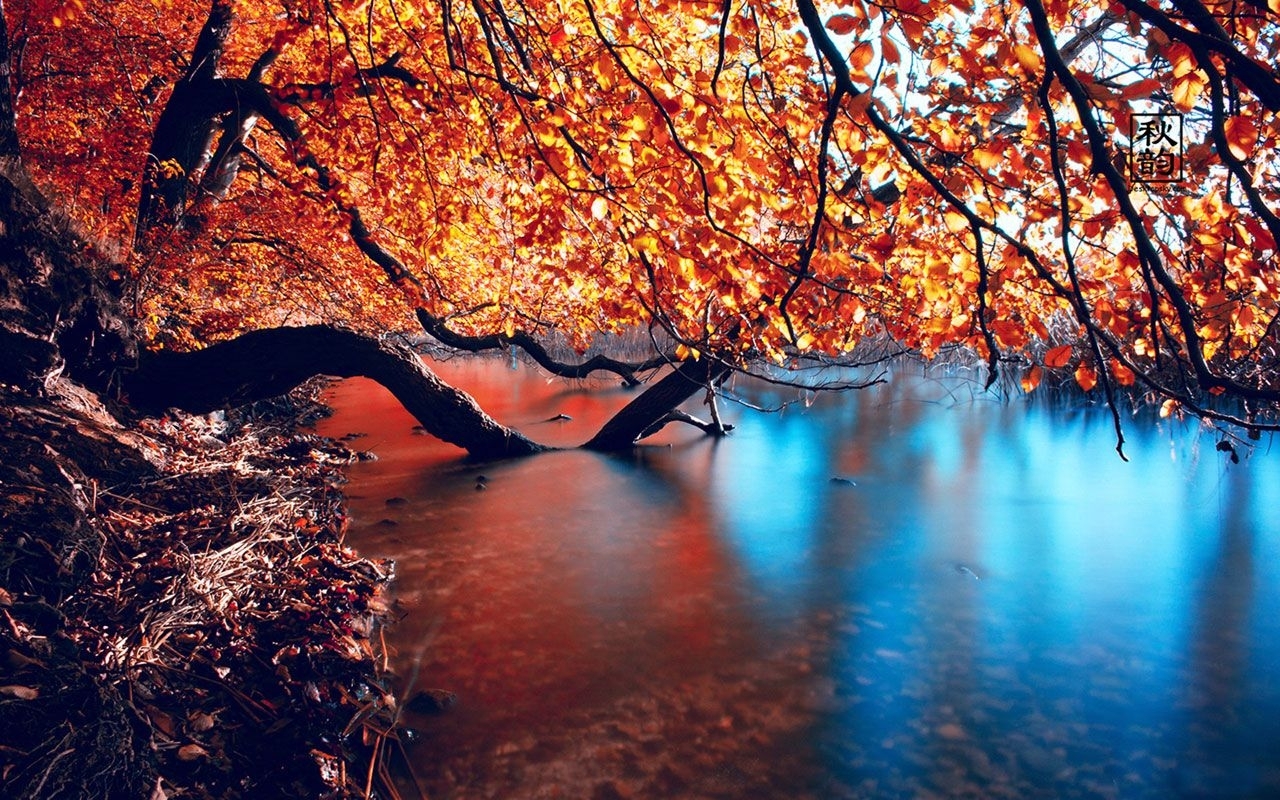 10 Latest Seasonal Pictures For Desktop FULL HD 1080p For PC Background