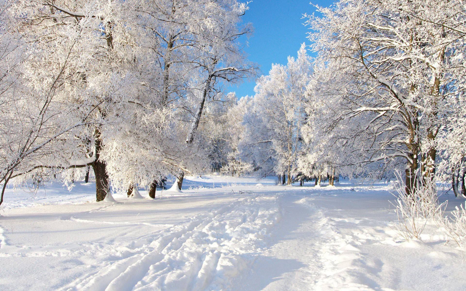 10 New Free Winter Wallpapers And Screensavers FULL HD 1920×1080 For PC Background