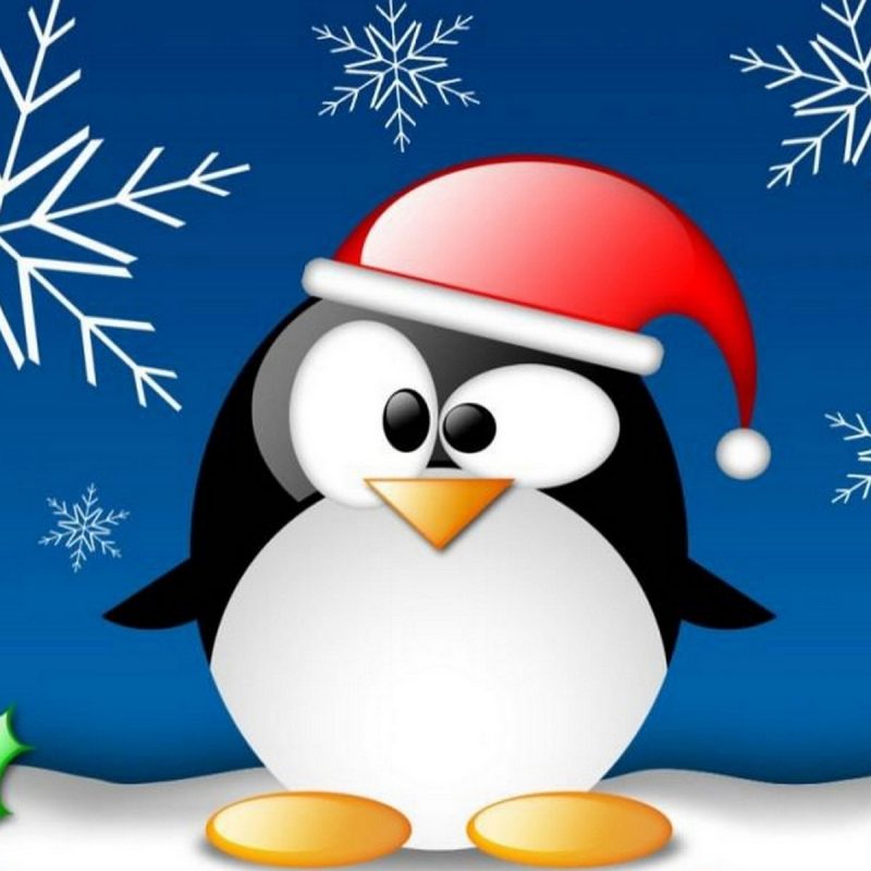 10 Best Funny Christmas Desktop Backgrounds FULL HD 1920×1080 For PC Desktop 2022 free download funny christmas wallpaper 62 images 800x800