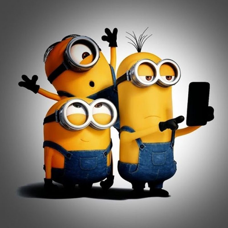 10 New Minion Wallpaper For Android FULL HD 1920×1080 For PC Desktop 2024 free download funny minions mobile wallpapers android hd 720hh x1280 minions 800x800