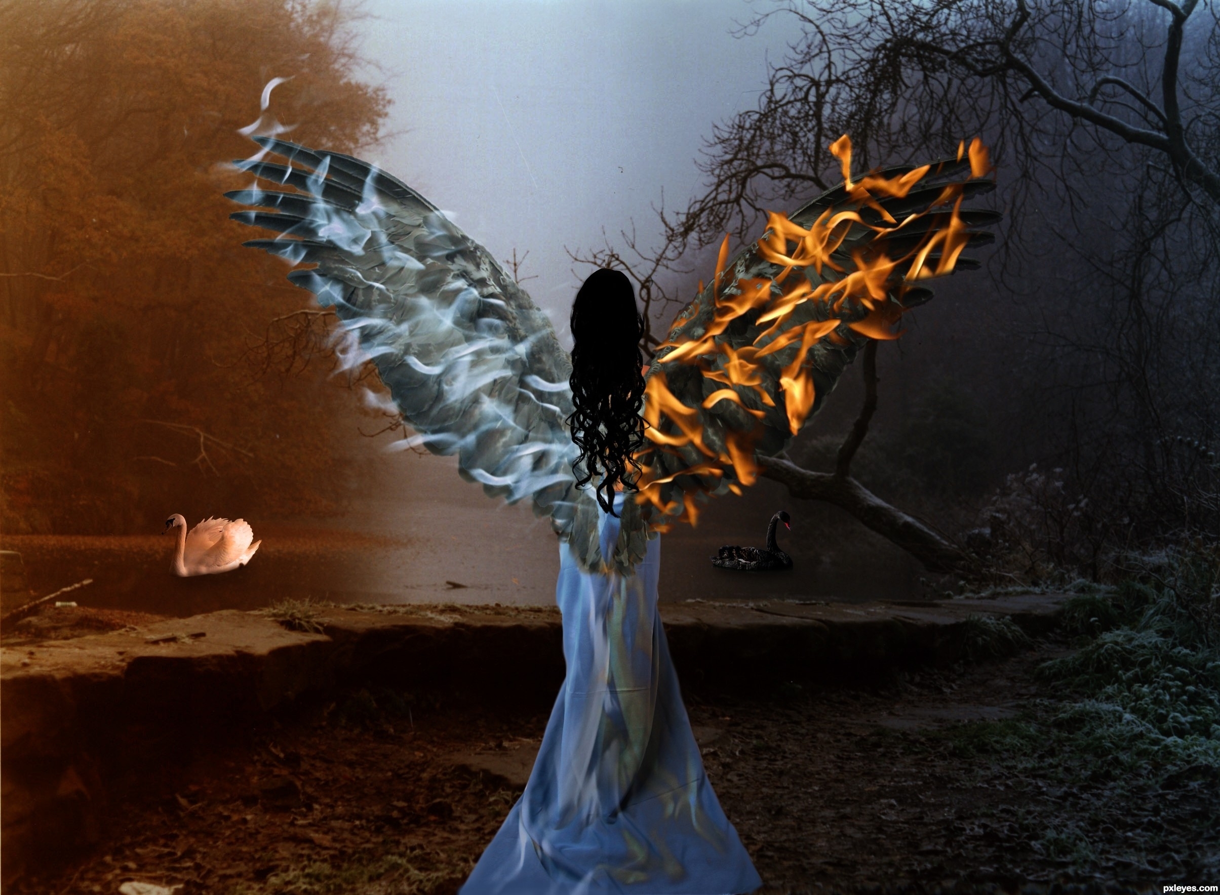 Темные и светлые души. Свет во тьме. Между светом и тьмой. Ангел с опаленными крыльями.