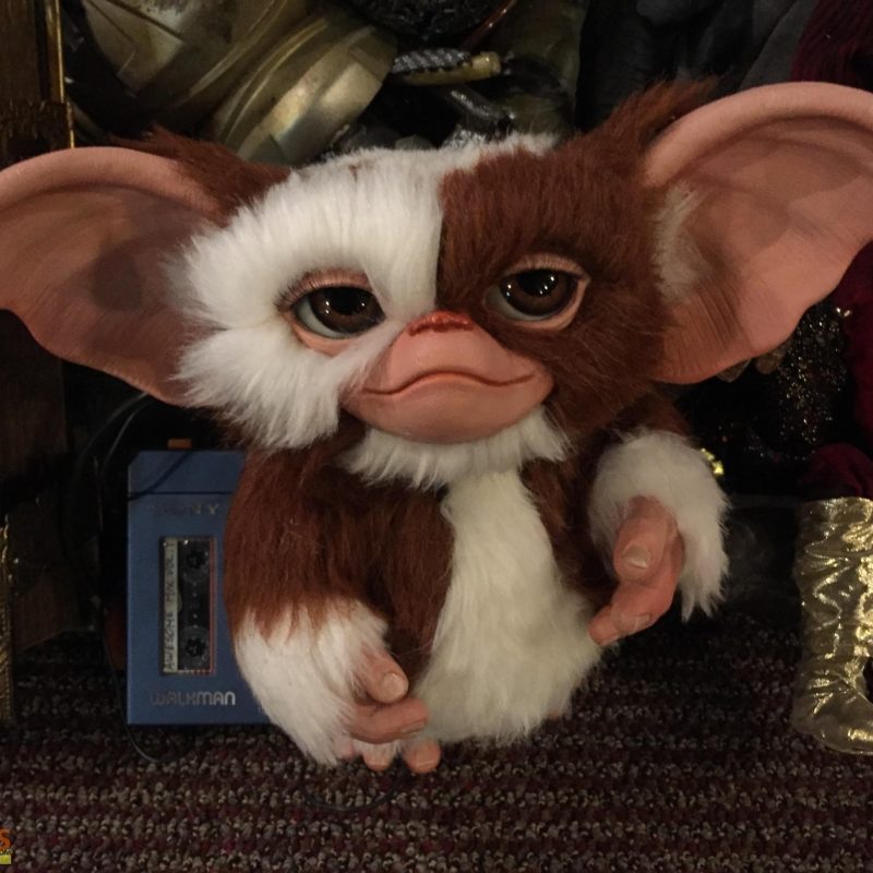 10 Latest Pictures Of Gizmo From Gremlins FULL HD 1080p For PC Background 2022 free download gremlins gizmo replica movie prop 800x800