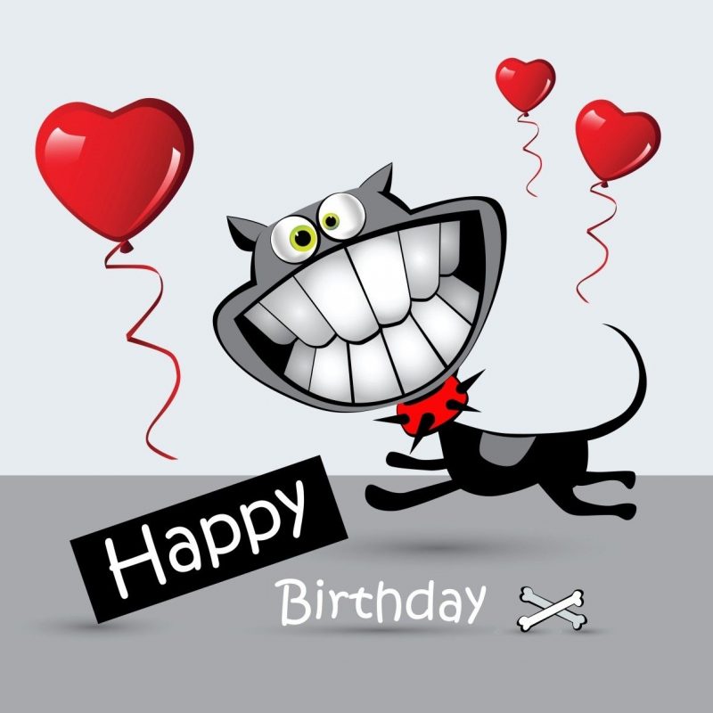 10 Most Popular Funny Happy Birthday Wallpaper FULL HD 1920×1080 For PC Desktop 2022 free download happy birthday cards funny google search happy birthday posts 800x800
