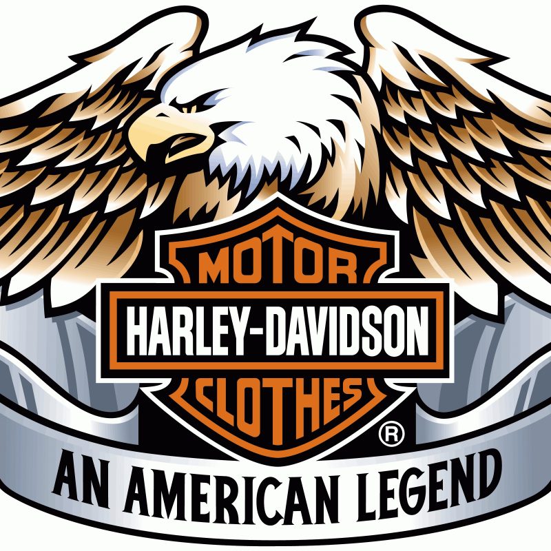 10 Most Popular Harley Davidson Logos Images FULL HD 1920×1080 For PC Desktop 2022 free download harley davidson logo estes oculos harley davidson apresentam um 800x800