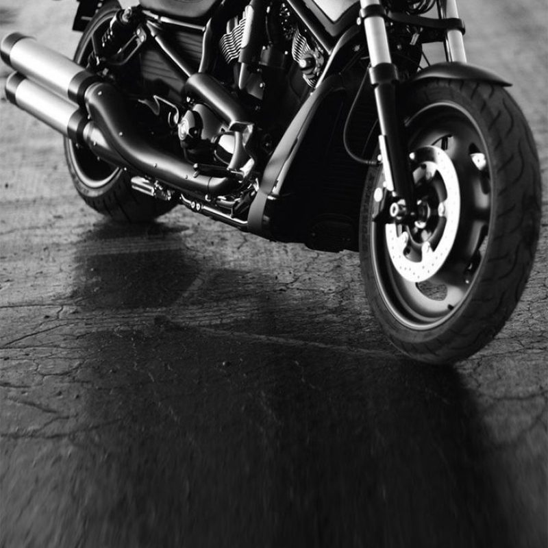 10 New Harley Davidson Wallpaper For Android FULL HD 1920×1080 For PC Background 2022 free download harley davidson vrsc dx night rod iphone 6 6 plus wallpaper moto 800x800