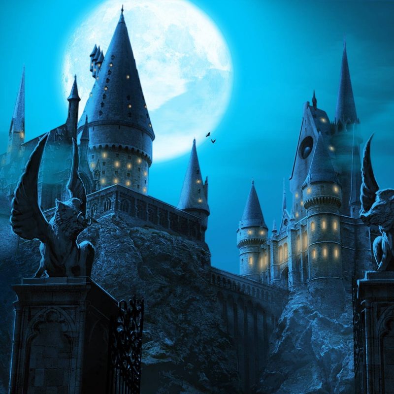 10 Latest Harry Potter Wallpaper Hogwarts FULL HD 1080p For PC Desktop 2023 free download harry potter wallpapers pictures images 800x800