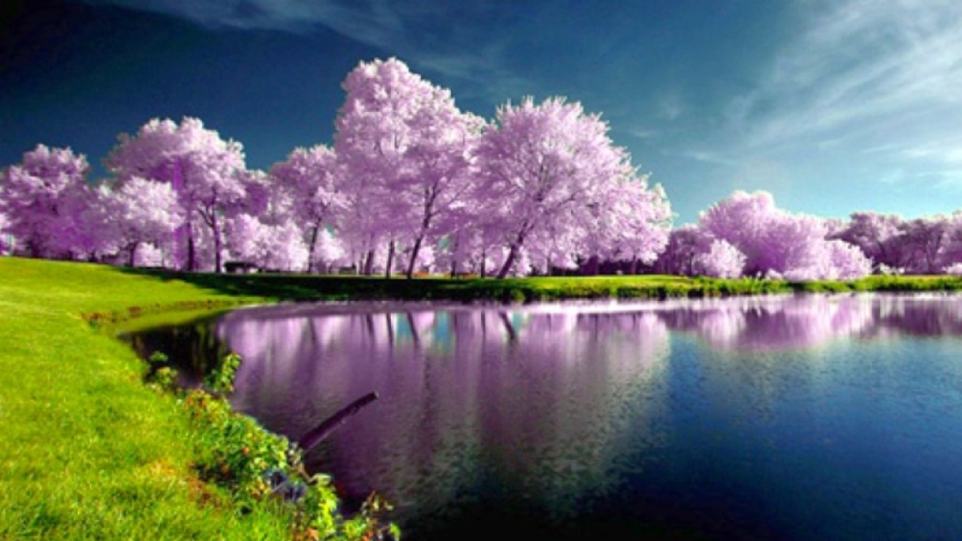 10 Most Popular Wallpapers Hd Nature Spring FULL HD 1080p ...