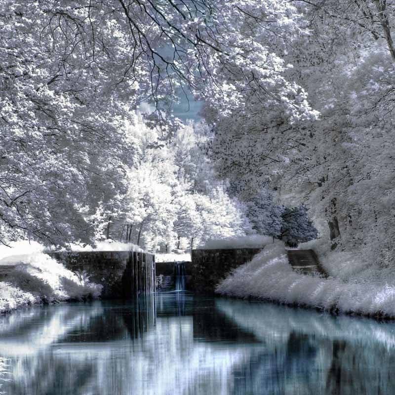 10 Latest Hd Wallpapers Winter Scenes FULL HD 1080p For PC Background 2022 free download hd wallpapers winter scenes for desktop 800x800
