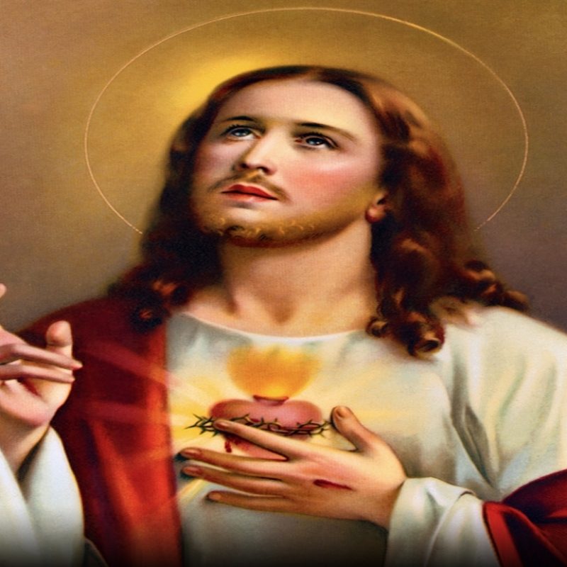 10 New Images Of Sacred Heart Of Jesus FULL HD 1920×1080 For PC Desktop 2022 free download holy mass images sacred heart of jesus 4 800x800