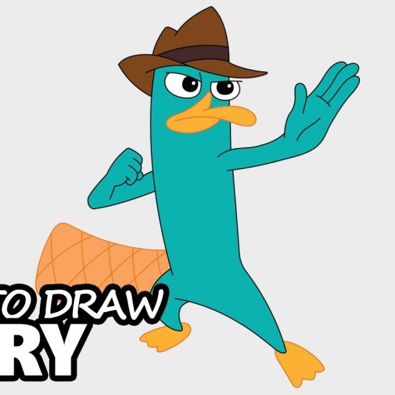 10 Latest Pictures Of Perry The Platypus FULL HD 1080p For PC Background 2023 free download how to draw perry the platypus agent p from phineas and ferb 800x800