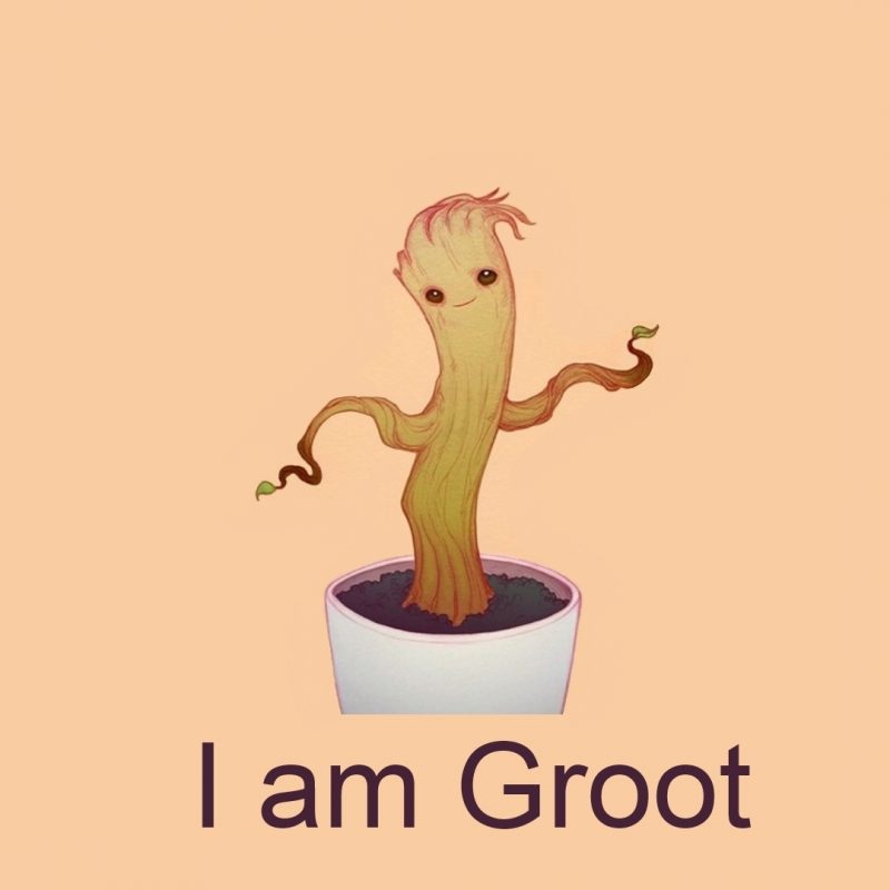 10 Most Popular I Am Groot Wallpaper FULL HD 1920×1080 For PC Background 2023 free download i am groot full hd fond decran and arriere plan 1920x1080 id539311 800x800