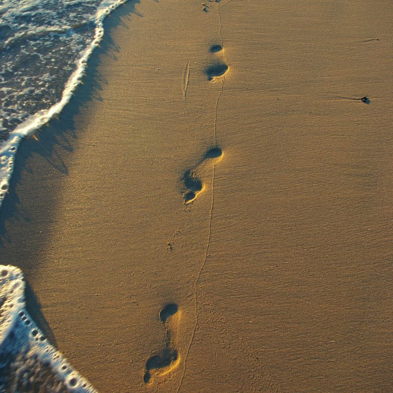10 New Images Of Footprints In The Sand FULL HD 1920×1080 For PC Desktop 2022 free download i am more than ready to leave some footprints in the sand living 1 800x800