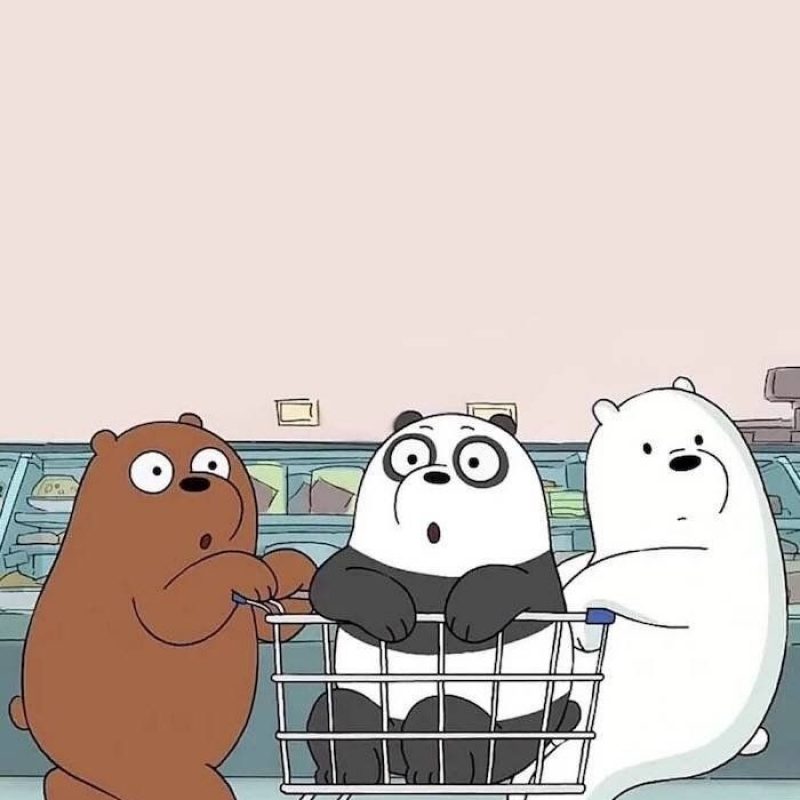 10 Top We Bare Bears Wallpaper FULL HD 1920×1080 For PC Background 2022 free download im recently obsessed with we bare bears wallpapers 800x800