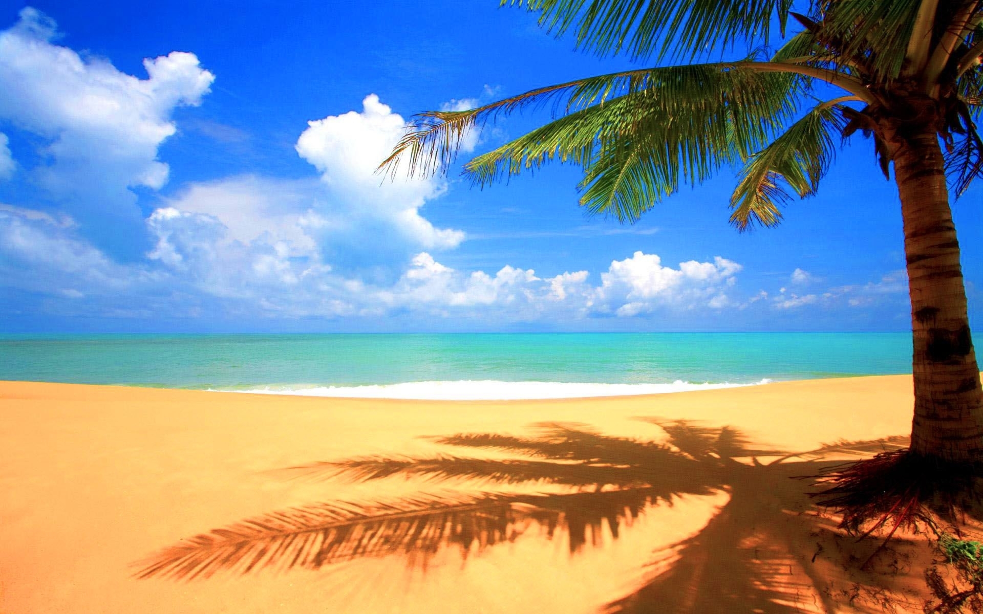 10 Most Popular Beautiful Beach Backgrounds Palm Trees FULL HD 1920×1080 For PC Desktop