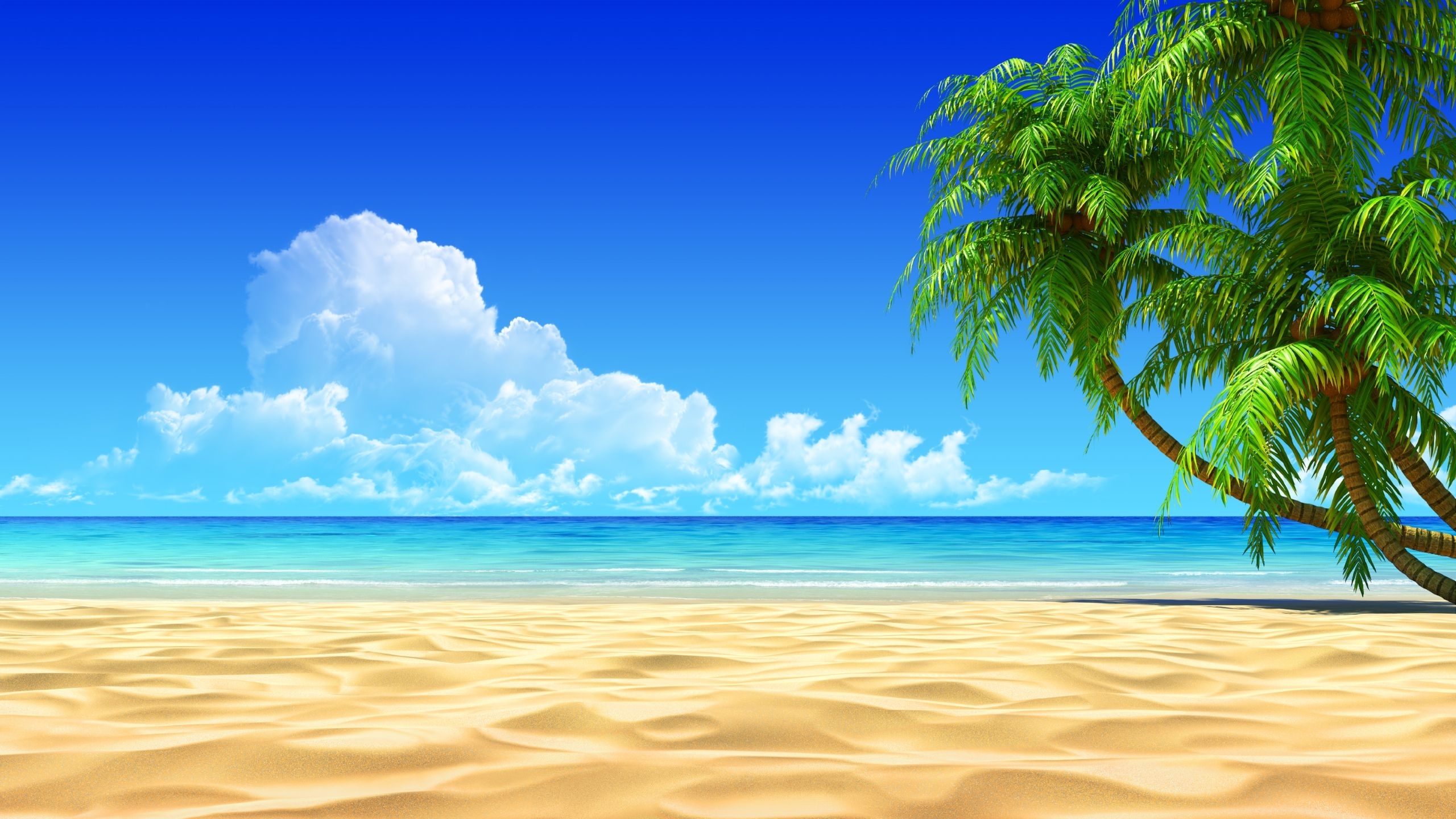 image for tropical beaches with palm trees wallpapers desktop