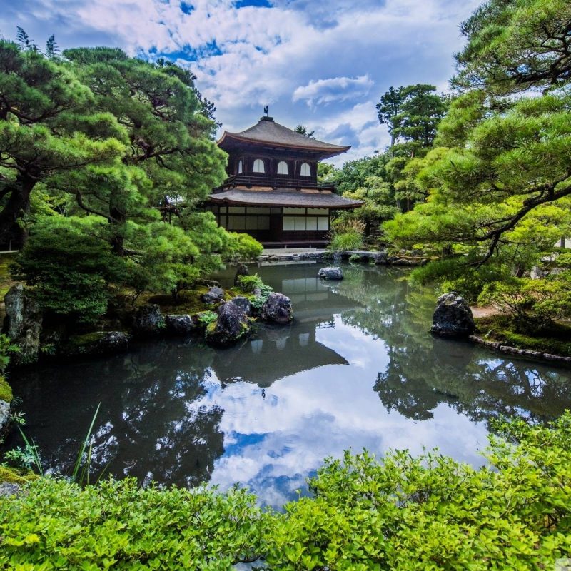 10 Best Japanese Garden Wall Paper FULL HD 1920×1080 For PC Desktop 2023 free download japanese garden wallpapers wallpaper cave 4 800x800