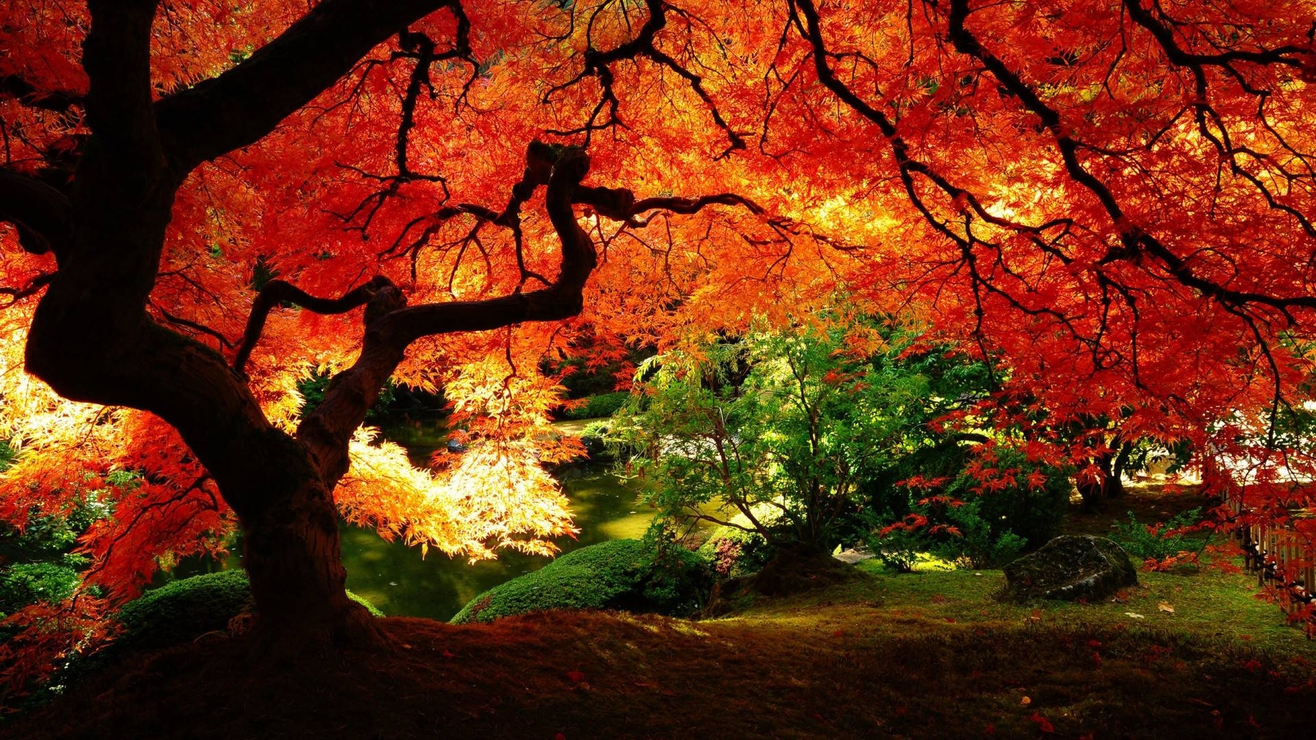 10 Top Japanese Garden Wallpaper Night FULL HD 1080p For PC Background
