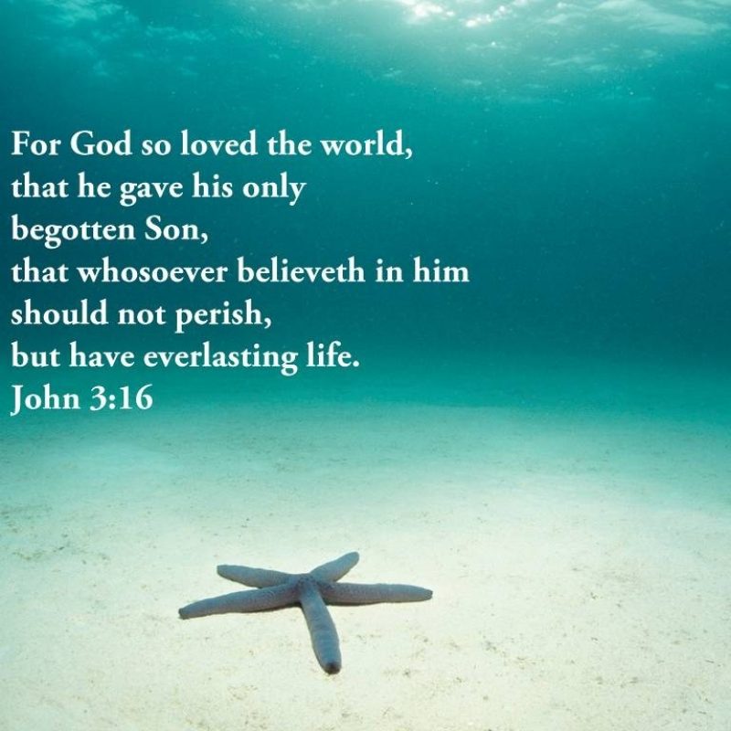 10 New Free Christian Wallpaper With Scripture FULL HD 1920×1080 For PC Background 2022 free download john 316 for god so loved the world wallpaper christian 800x800