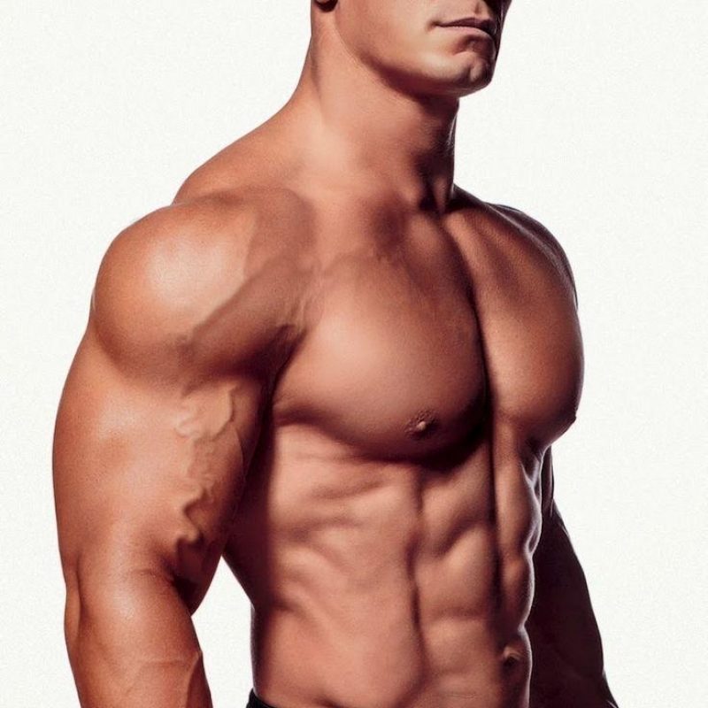 10 New John Cena Bodybuilding Photos FULL HD 1080p For PC Desktop 2022 free download john cena body wallpapers 2016 wallpaper cave 800x800