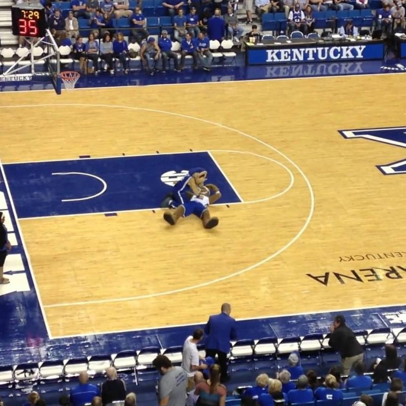 10 New Kentucky Wildcats Mascot Pictures FULL HD 1920×1080 For PC Desktop 2024 free download kentucky wildcats mascot fail during halftime of blue white game 800x800