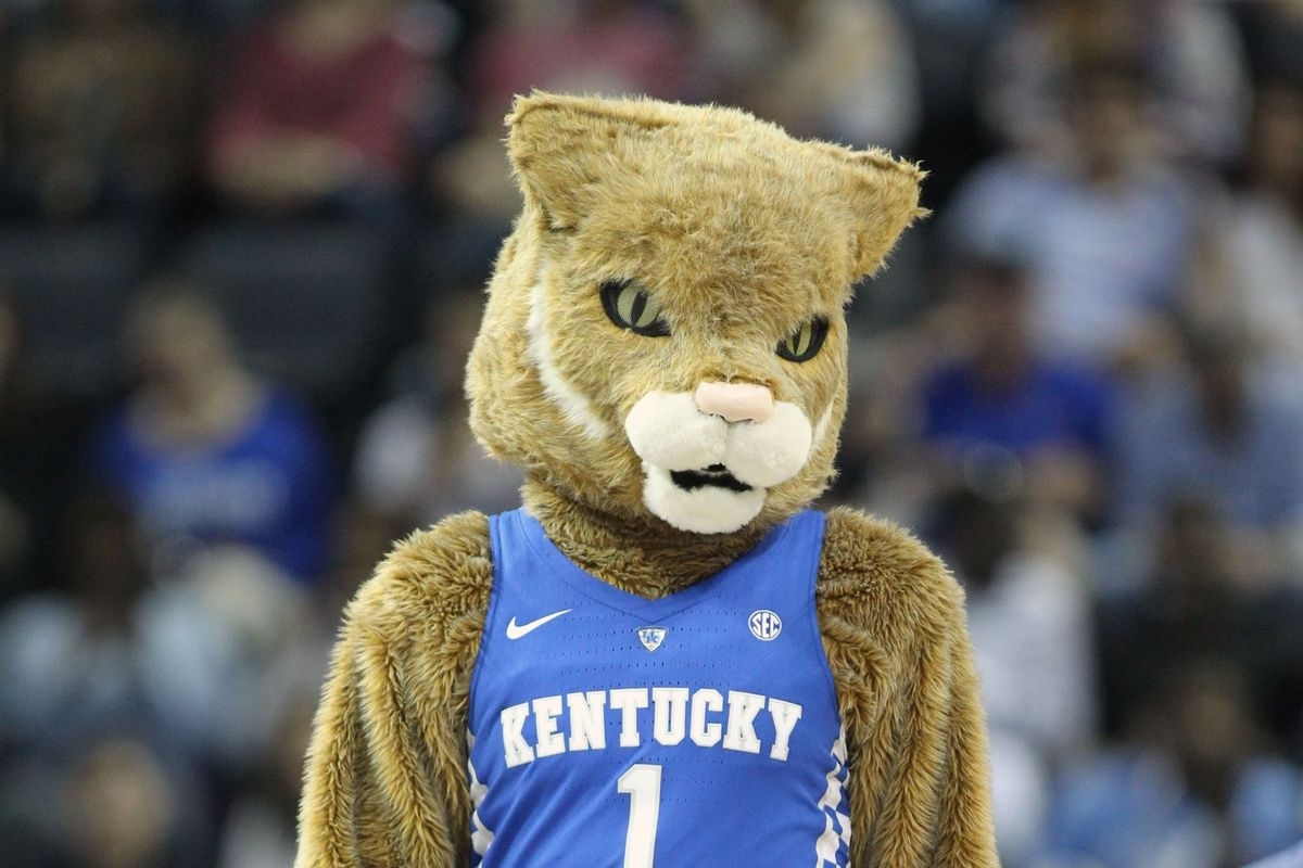 10 New Kentucky Wildcats Mascot Pictures Full Hd 1920×1080 For Pc