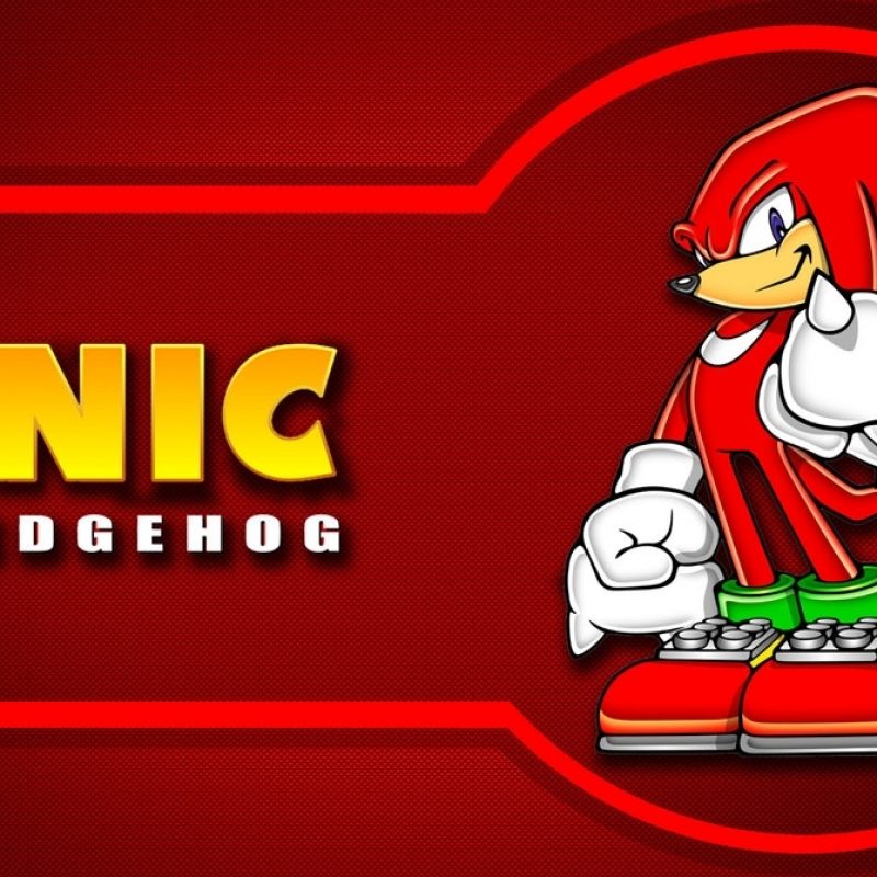 10 Most Popular Knuckles The Echidna Background FULL HD 1080p For PC Desktop 2023 free download knuckles the echidna wallpaper 1080pfeelingfuzzyandproud on 800x800