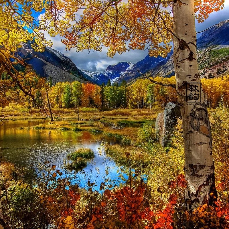 10 Best Free Seasonal Desktop Wallpaper FULL HD 1080p For PC Background 2022 free download late autumn seasonal lake views photography wallpaper 5 efbc8d landscape 800x800