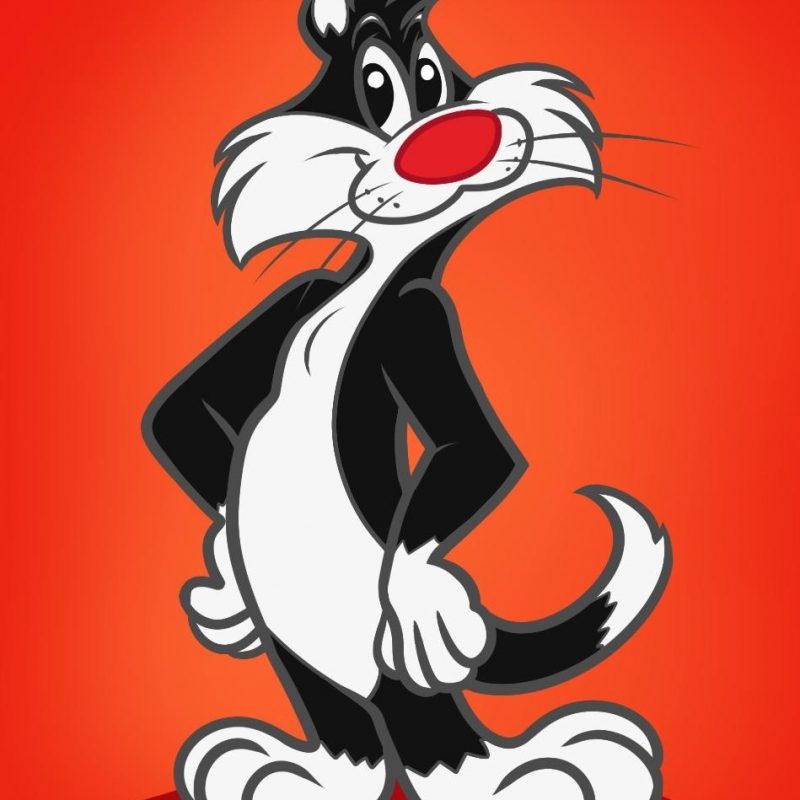 10 Best Pictures Of Sylvester The Cat FULL HD 1080p For PC Desktop 2022 free download learn how to draw sylvester the cat cartoons cartoons draw 800x800