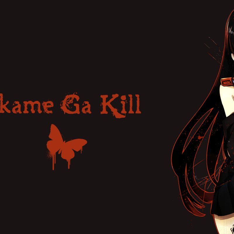 10 New Akame Ga Kill Wallpaper Hd FULL HD 1080p For PC Desktop 2022 free download leone akame ga kill images akame ga kill wallpaper hd wallpaper 800x800